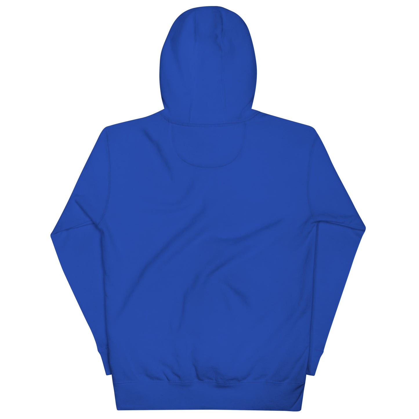 Vote Blue Hoodie Blue